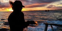 Chokka Fishing at sunset off Cape St Francis.
