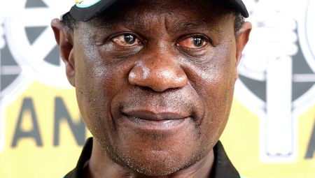 Mashatile rubbishes claims he met with ‘Cat’ Matlala 