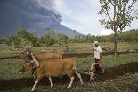 While you were sleeping: 27 November 2017