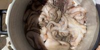 We’d been cooking octopus. (Photo: Margot Patterson) 