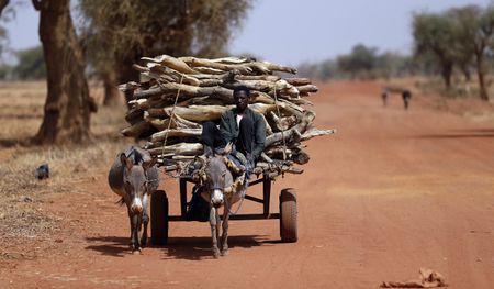 Mali: After the French fireworks, who will clean up the mess?