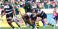 To control the chaos, the Boks must think on their feet