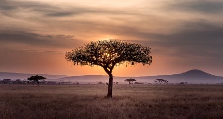 Fashioning a new global economy: The climate finance heavy hitters on Africa’s role