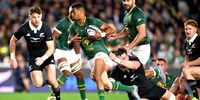 Grant Williams  Springbok scrumhalf<br>