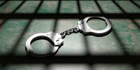 Daily roll call of arrests, NPA prosecutions and convictions – 24 February 2022