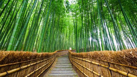 Is there a place for ESG in South Africa?
