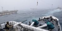 On 24 February 2018, the Argentine Coast Guard discovered the Jing Yuan 626 fishing illegally within Argentina’s Exclusive Economic Zone. An Argentine Coast Guard member watches as Jing Yuan 626 and several other foreign fishing vessels crowd around during the chase.(Photo: Javier Giannattasio)