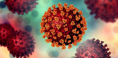 How knowledge of HIV can help South Africa's virus hunters track down the universal Covid enemy