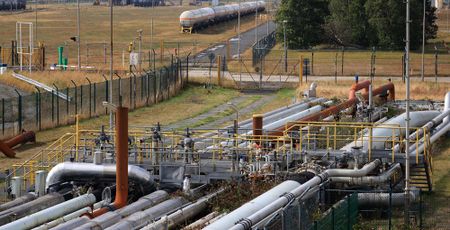 Europe faces pressure to cap price of gas for power generation