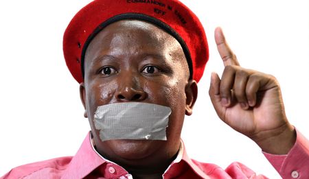 Some black journalists are 'house n****rs' - Malema