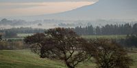 Early autumn morning near Franschhoek. Image: Faul Bosman
