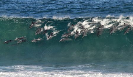 Op-Ed: Blue growth only possible if we look after our oceans