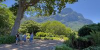 Seeking Shade in Kirstenbosch Gardens. Image: Zane Erasmus