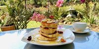 Amid some of their ‘collectable’ plants, a pancake stack garnished with sacred basil at the Nature Company café in Kloof. (Photo: Wanda Hennig)<br>