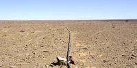 A plastic pipe runs water down, 400m, to a trough in the dry river bed. The cleaning out of the borehole means that the animals can at least get water again on Hoogekraal Farm between Willowmore and Aberdeen, 05 October 2021. (Photo: John Hogg)