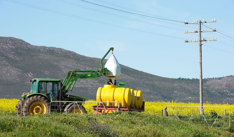 Bread & Wine: The chemical trail through wheat and grapes (Part Five) - Daily Maverick
