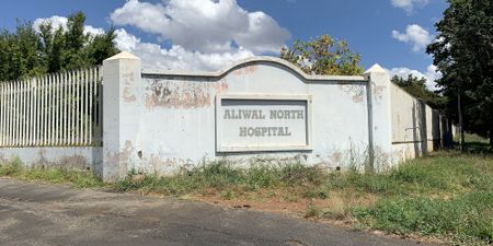 World Health Organisation to investigate high Covid-19 death rate in Eastern Cape