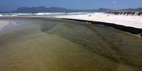 Effluent flows into False Bay from the waste water treatment works at Strandfontein. Nearly half of the 49 water quality monitoring sites in False Bay were rated as having 'poor' water quality, including popular swimming and surfing beaches. (Photo: Steve Kretzmann/WCN)