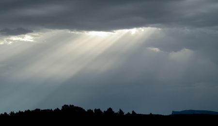 An open letter to fellow activists across the globe