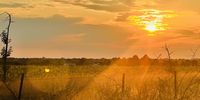 Farm mornings... Photographer: Mphoeng Mphoeng