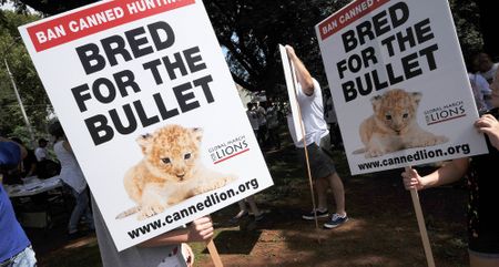 ‘Shift in conservation thinking’: A new biodiversity White Paper could make SA a world leader if it becomes law