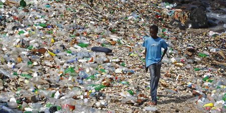 We’re entangled in a plastic web that sullies our minds