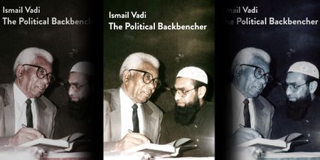 Ismail Vadi 's The Political Backbencher is a valuable resource to anyone interested in a pre- and post-apartheid South African society