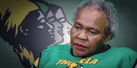 ANC ices Sisisi Tolashe — but remains silent on second minister in SUV scandal 