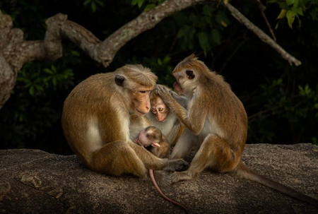 Scroll-stopping photography