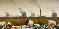 Goats graze in garbage, backdropped by the Sasol Ltd. Secunda coal-to-liquids plant in Mpumalanga, South Africa on Monday, March 21, 2022.  A South African court ordered the government to take measures to improve the air quality in a key industrial zone, saying it had breached the constitution by failing to crack down on pollution emitted by power plants operated by Eskom Holdings SOC Ltd. and refineries owned by Sasol. Photographer: Waldo Swiegers/Bloomberg via Getty Images