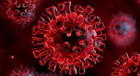 The incoherent and illogical new government Covid-19 regulations are the real state of disaster