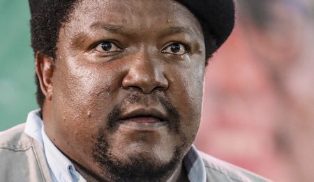 United Africans Transformation withdraws from GNU after not getting positions