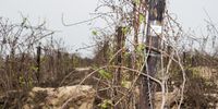 Lerato-WCPFloods-Part2