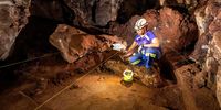 No males found as Homo naledi discovery deepens evolutionary puzzle