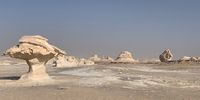 Western desert Egypt. Photographer: Sue Band