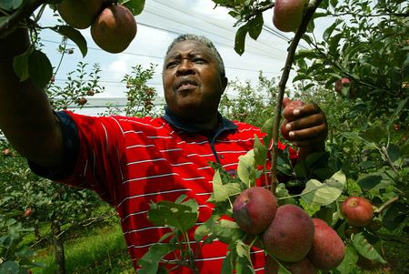 Analysis: Land reform or restitution, that is the question