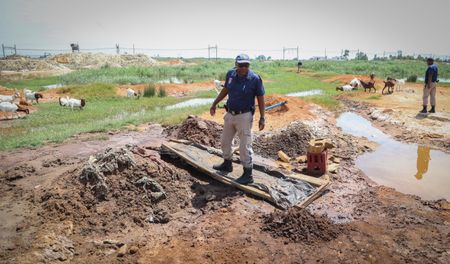 Desperation drives Springs gold rush, say residents, as authorities crack down