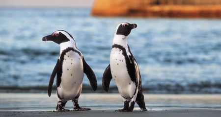 New efforts to protect us from 'forever chemicals' won't work unless the companies that use and produce them come forward (Part Four)