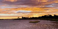 Mosamane pan after the thunderstorm, Botswana. Image: Alison Gilbert