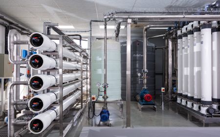 Nelson Mandela Bay Business Chamber calls for unity, hits out at political instability as Day Zero draws closer