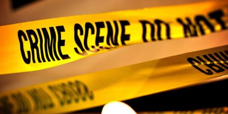 Murder of SACP leader and young daughter in Cape Town ‘a hit’