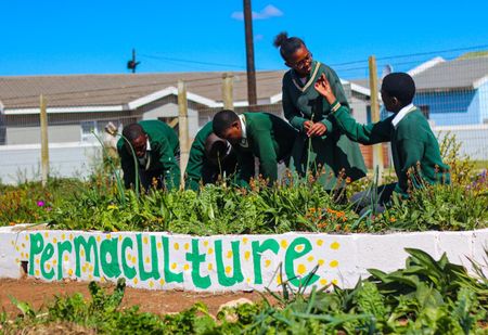 Food & Trees for Africa and Tiger Brands unveil winners of EduPlant finals competition