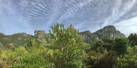 Cirrus clouds on Castle Rock above Kirstenbosch gardens heralding a cold front.