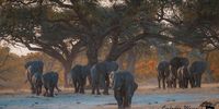 Africa’s colors. Photographer: Corlette Wessels