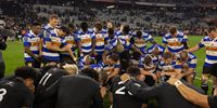 WP Rugby