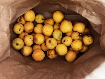 The Karoo gifts that come with the kuier