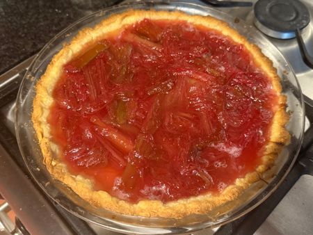 Rhubarb tart in a crunchy almond pastry crust