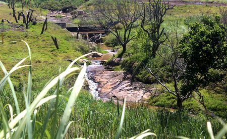 UPL asked to explain how ‘Agent Orange’ war poison chemical ended up in Durban river