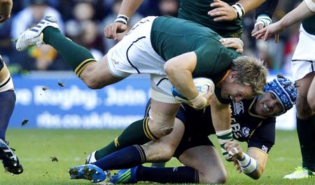 Springboks vs Scotland: Meyer hoping for repeat performance