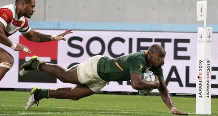 Boks smash Japan to set up RWC semi against Wales